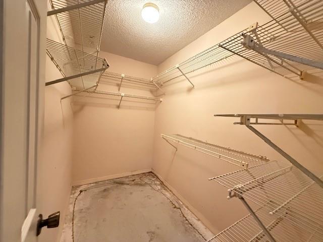 Photo: 13 of 28