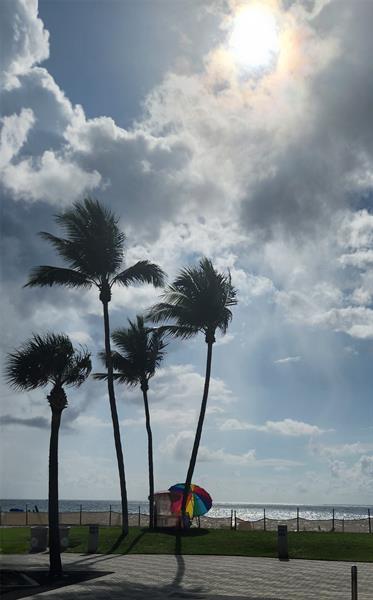 Photo: 54 of 57