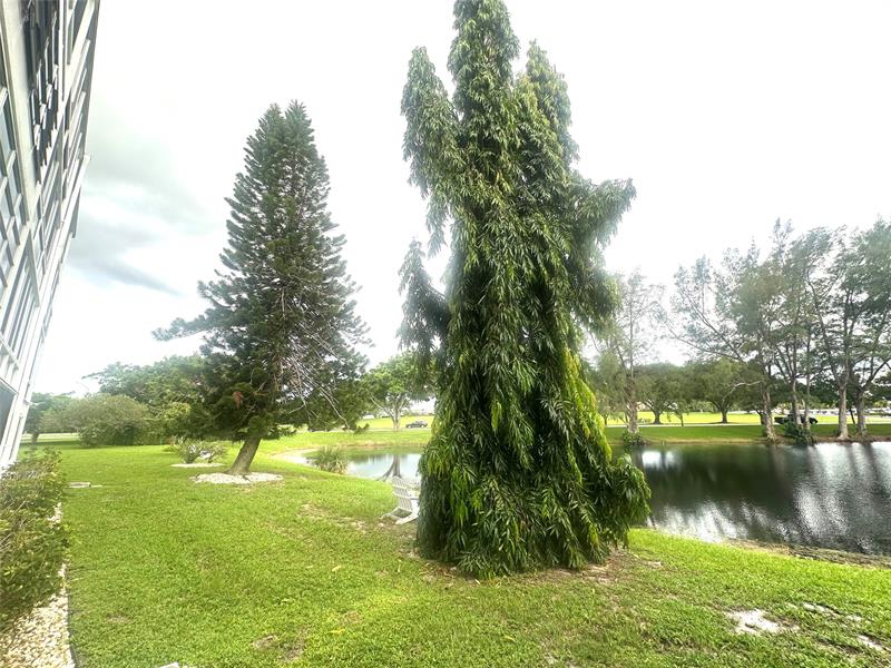 Photo: 28 of 70