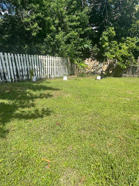 Photo: 5 of 6