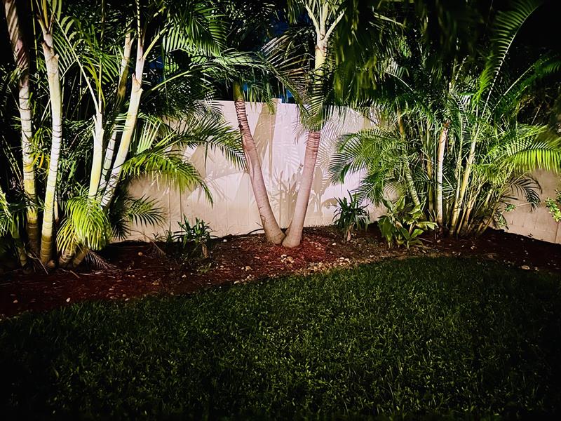 Photo: 65 of 67