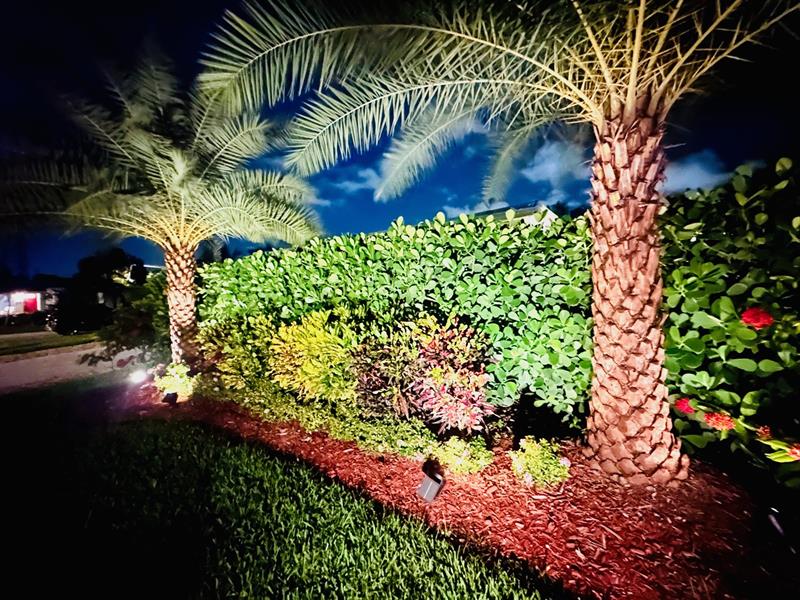 Photo: 66 of 67