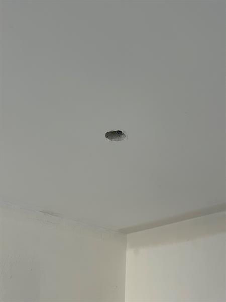 Photo: 5 of 7
