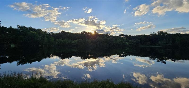 Photo: 7 of 52