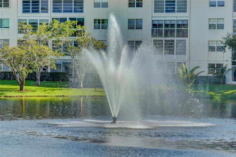 Photo: 43 of 64