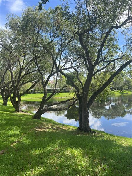 Photo: 16 of 28