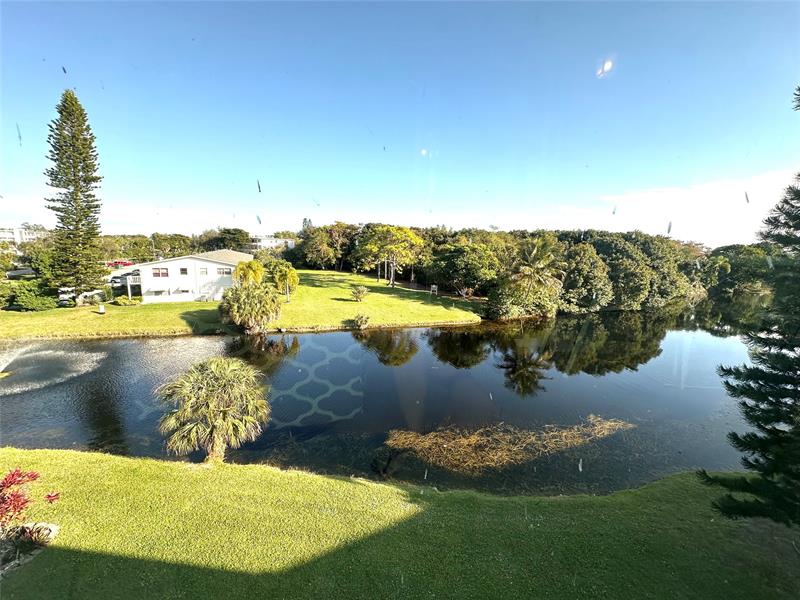 4004 Newport G #4004