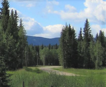 MLS# 241261157