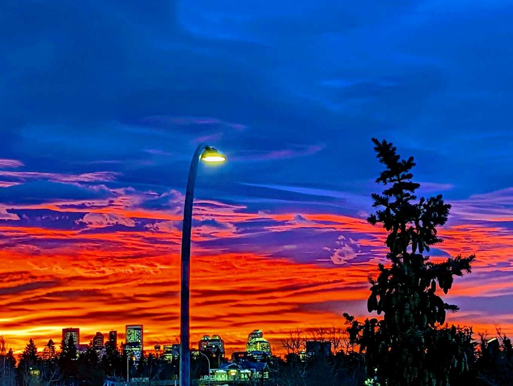 MLS# 241697995