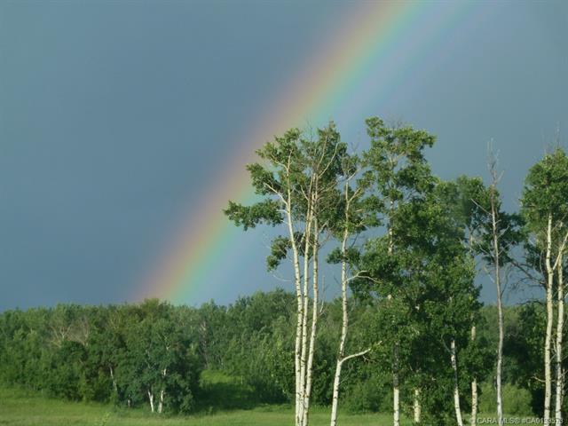 MLS# 241453956