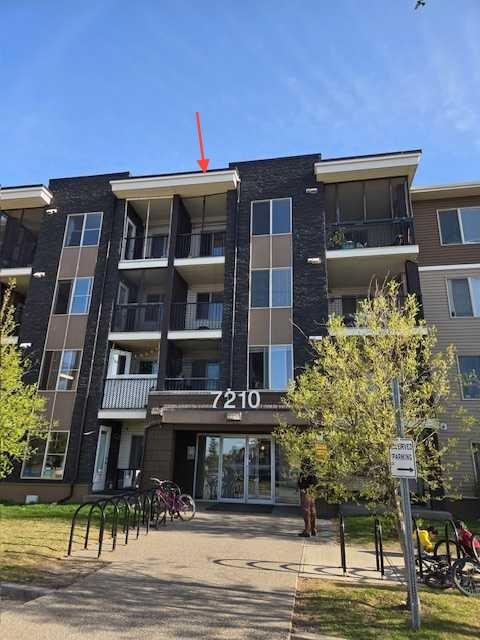 MLS# 241709099