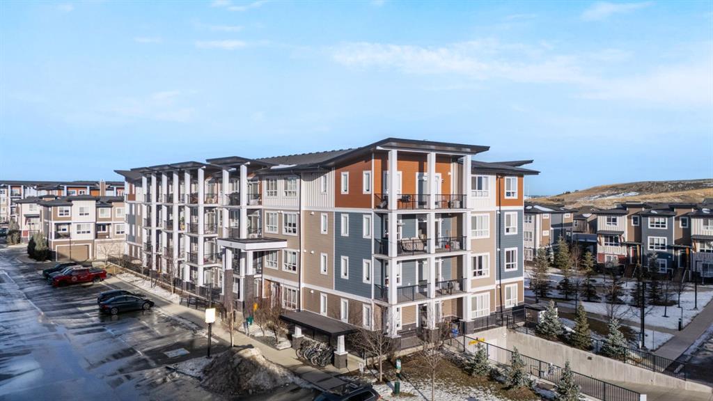 MLS# 241639066