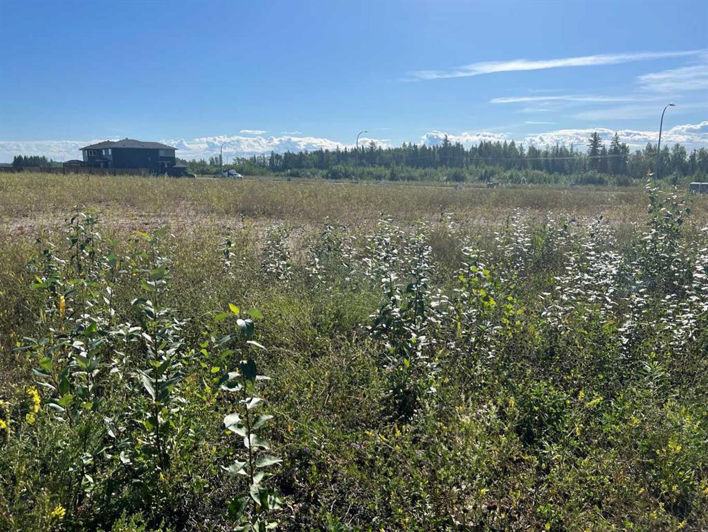 MLS# 242311133