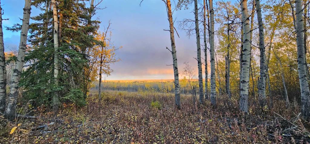 MLS# 244162325
