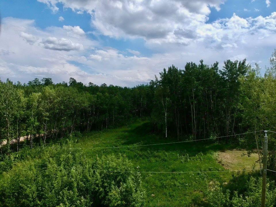 MLS# 242575099