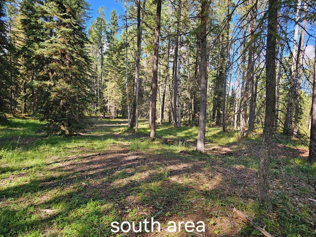 MLS# 243305219