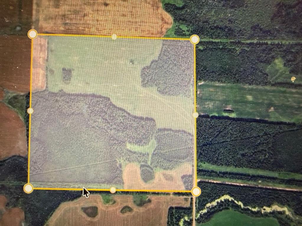 MLS# 244184849