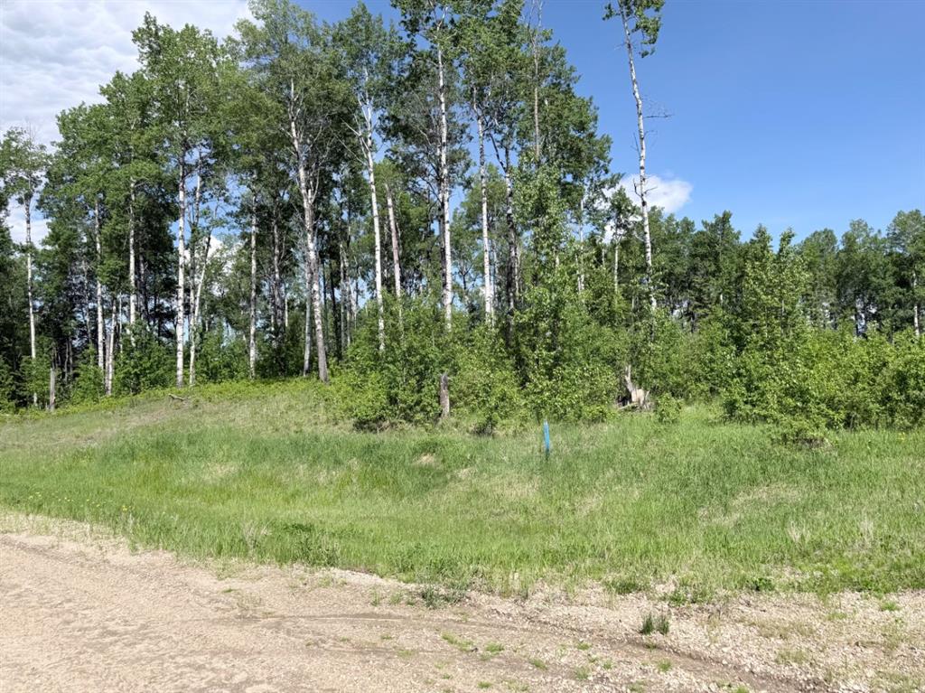 MLS# 243857128