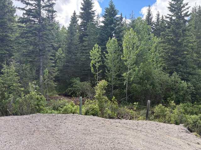 MLS# 243870719