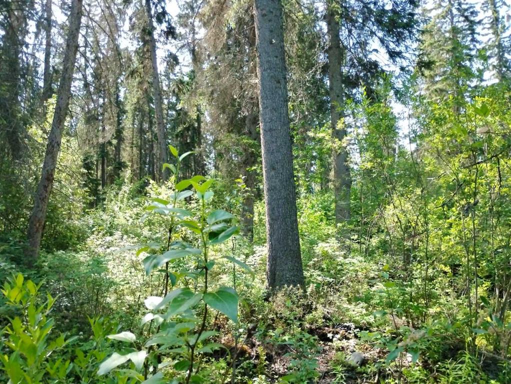 MLS# 244295305