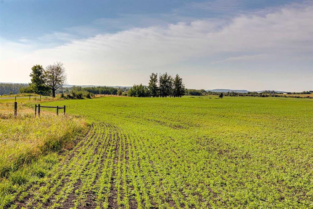 MLS# 245062588