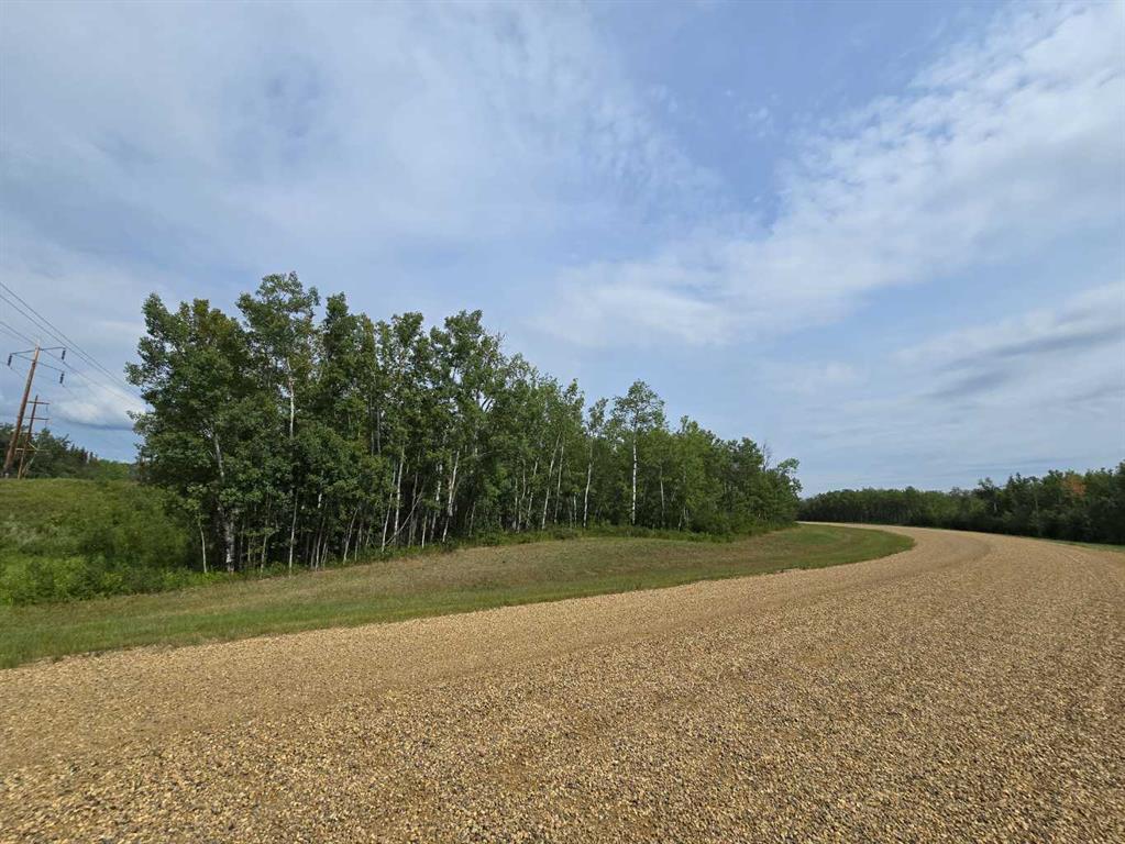 MLS# 245172708