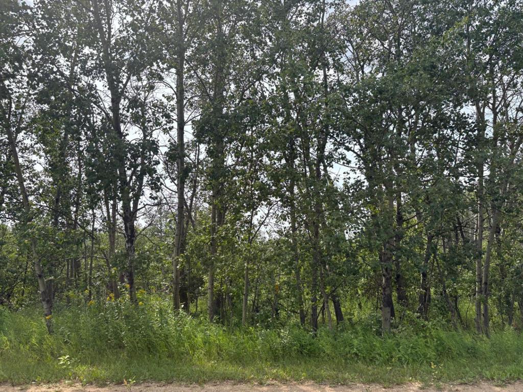 MLS# 245716067