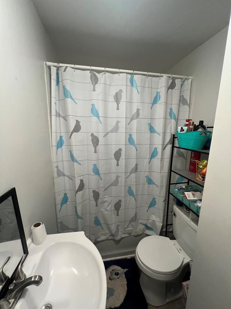 Gallery Image 6