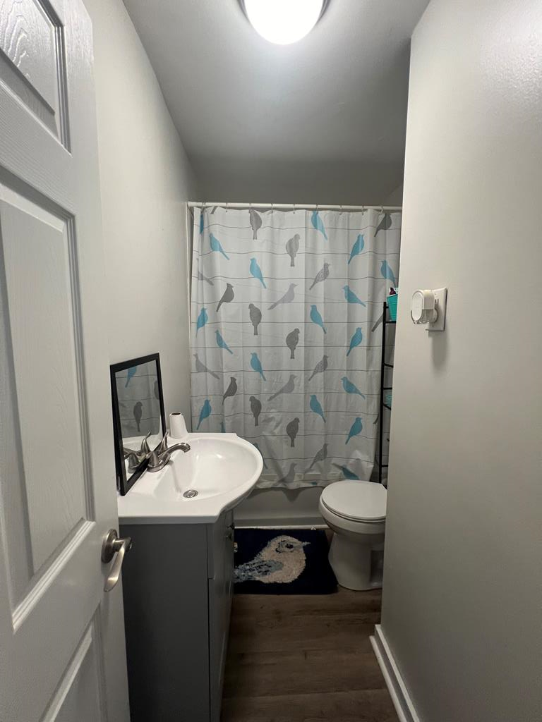Gallery Image 7