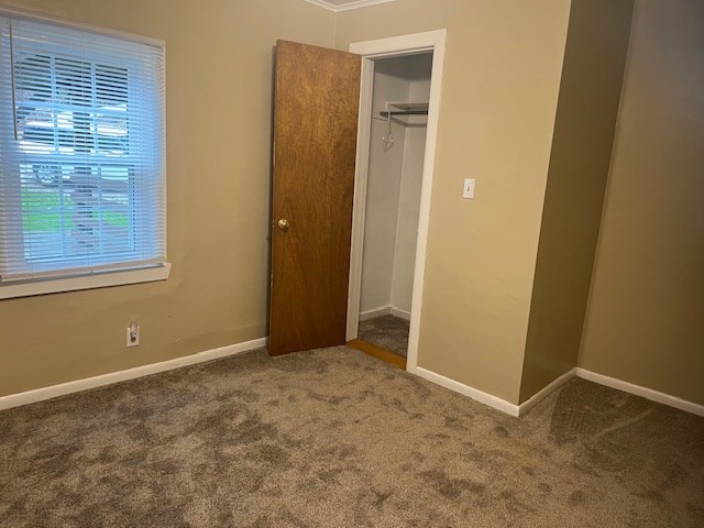 Gallery Image 18