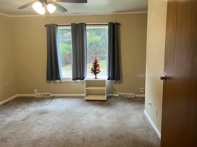 Gallery Image 20