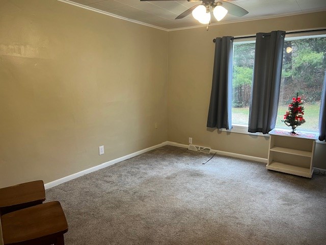 Gallery Image 21