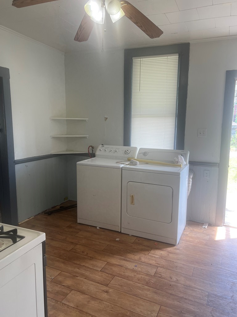 Gallery Image 13