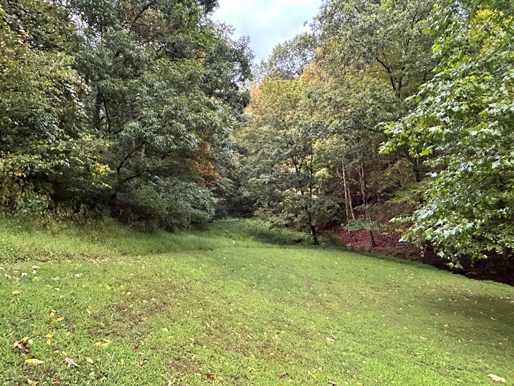 Gallery Image 11