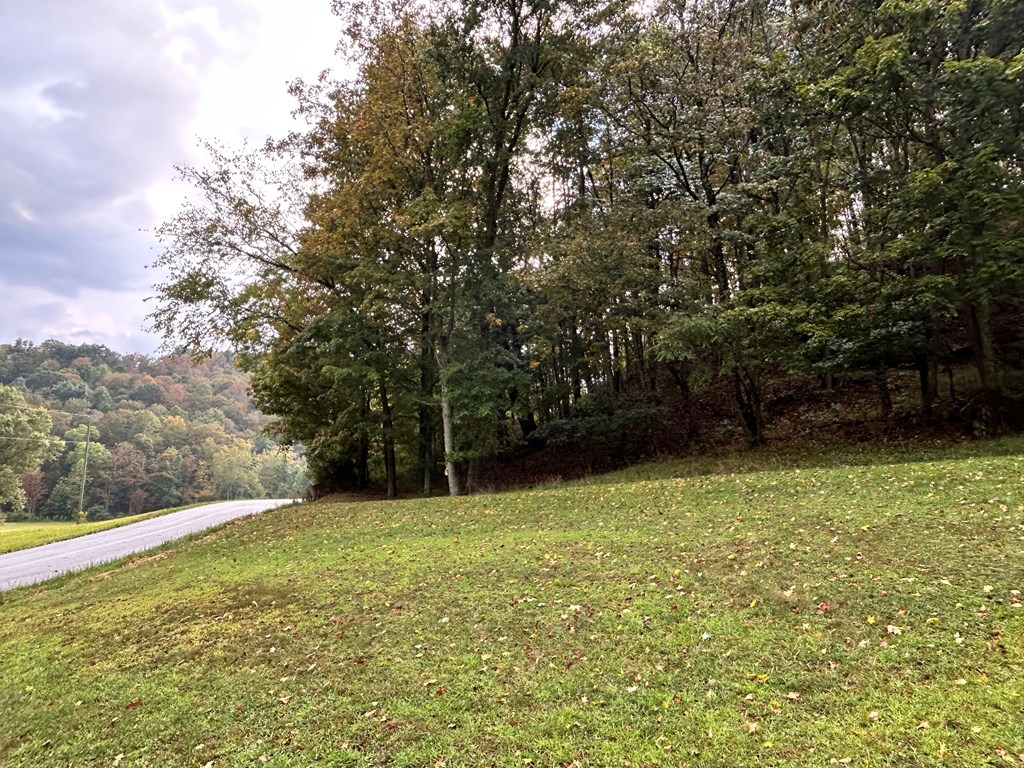 Gallery Image 16