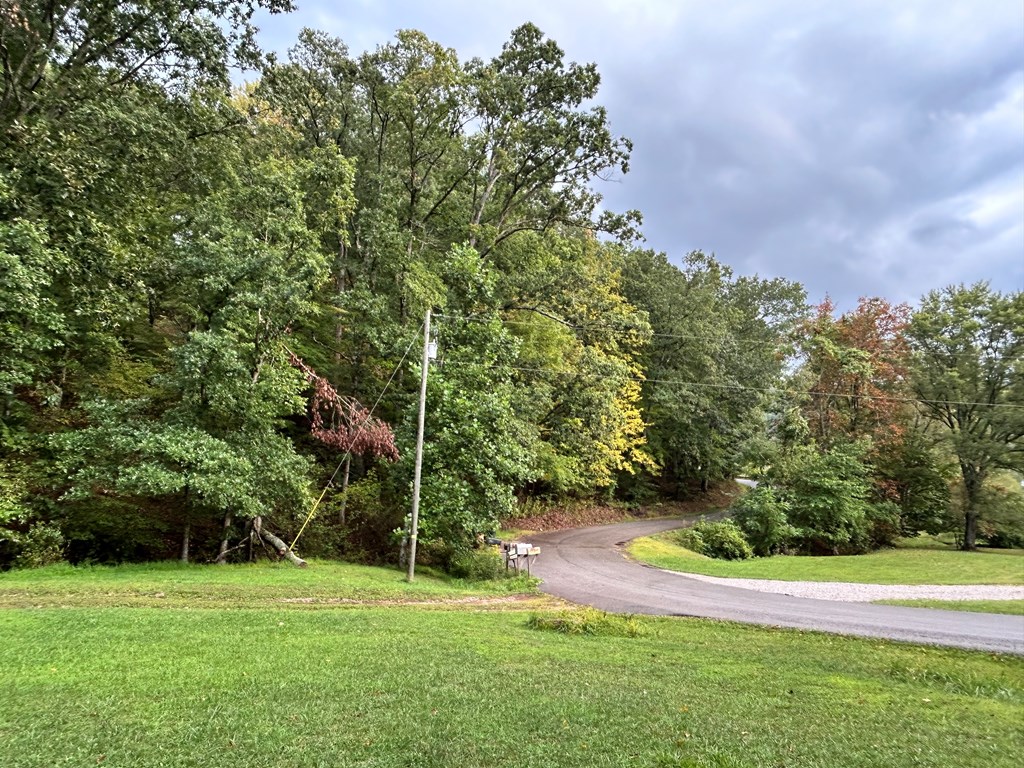 Gallery Image 17