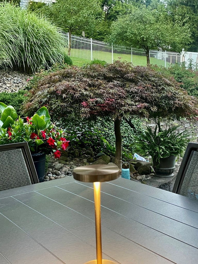 Gallery Image 36