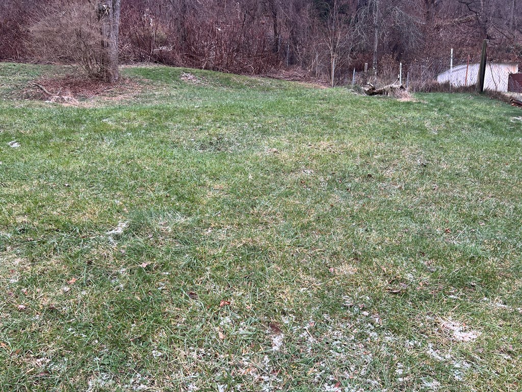 Gallery Image 18
