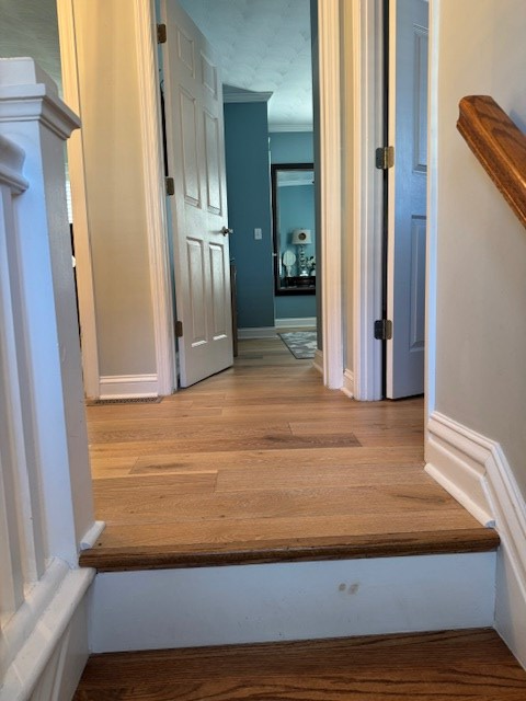 Gallery Image 20