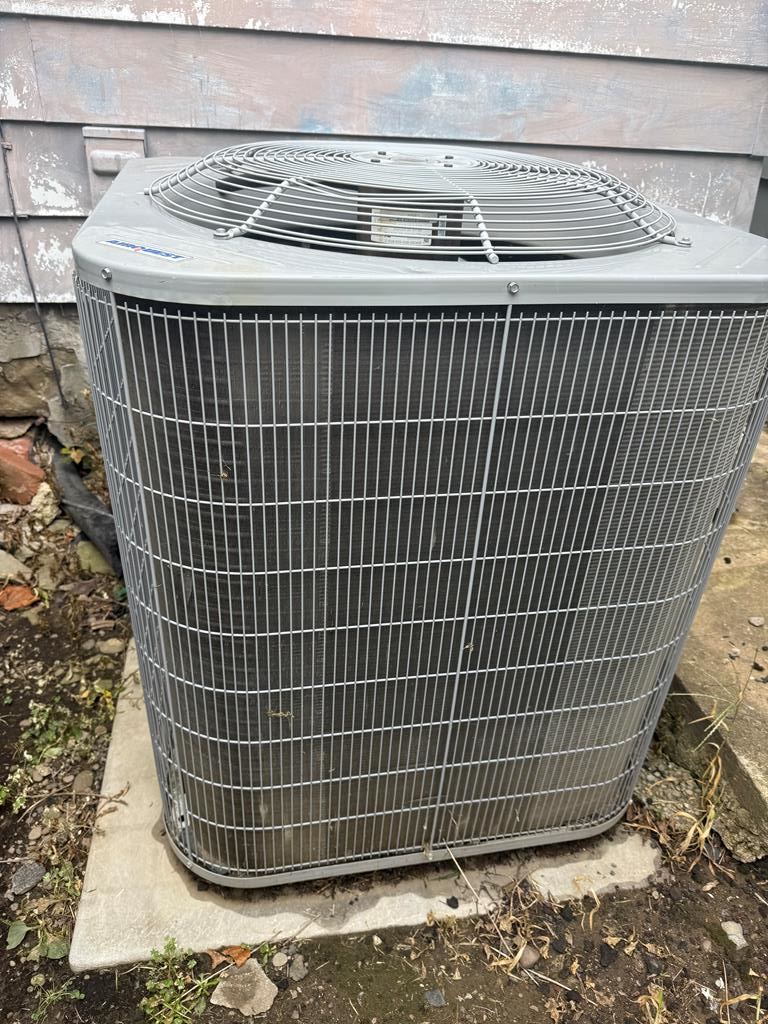 Gallery Image 17