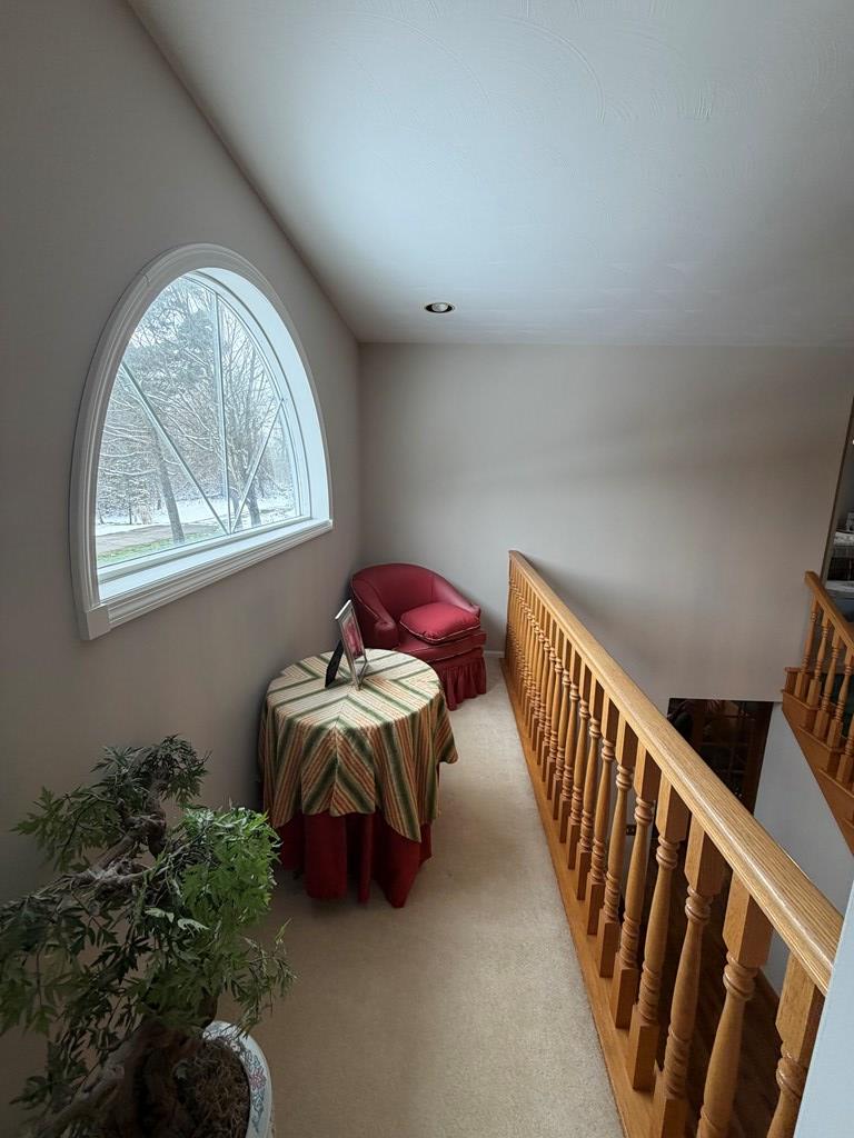 Gallery Image 52