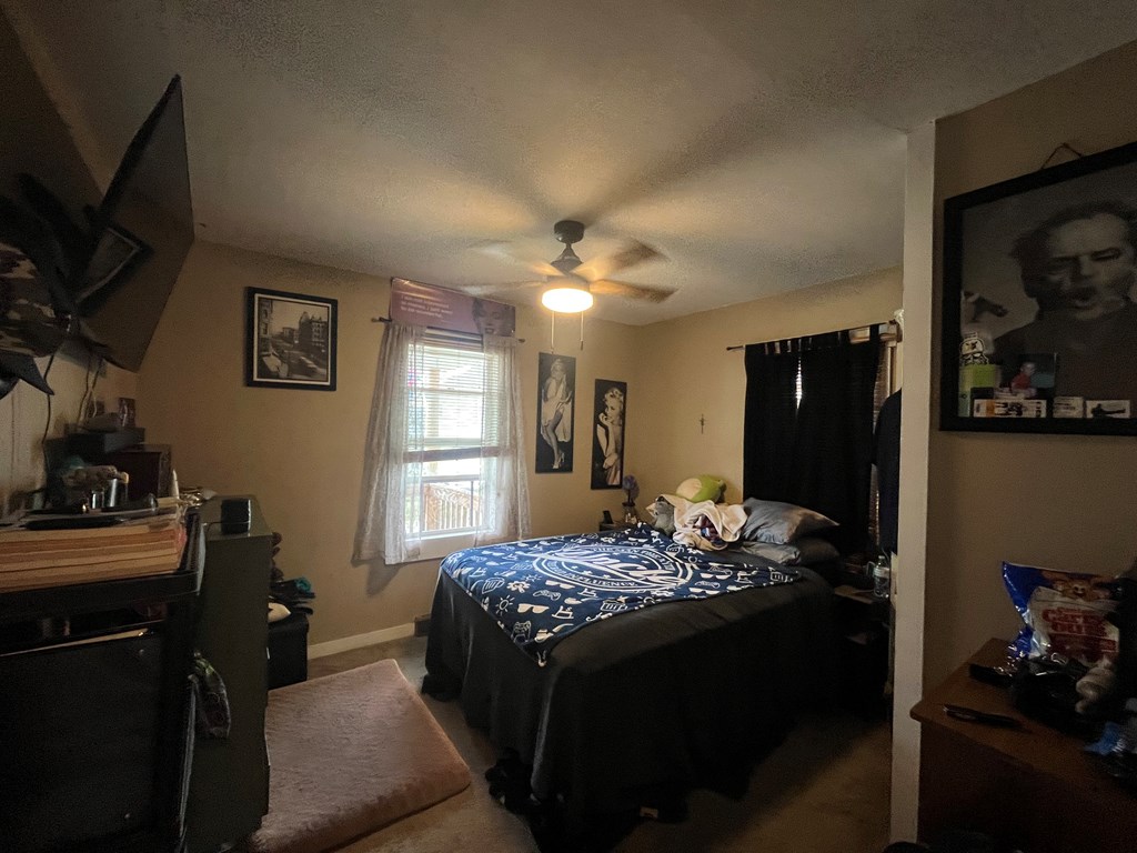 Gallery Image 14