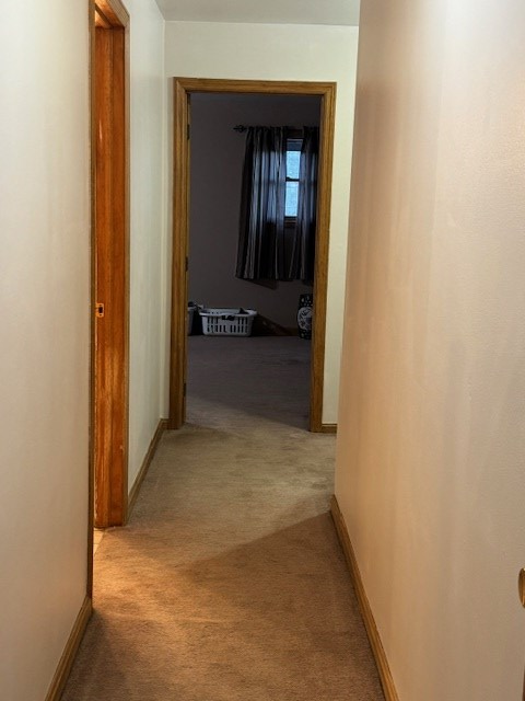 Gallery Image 28