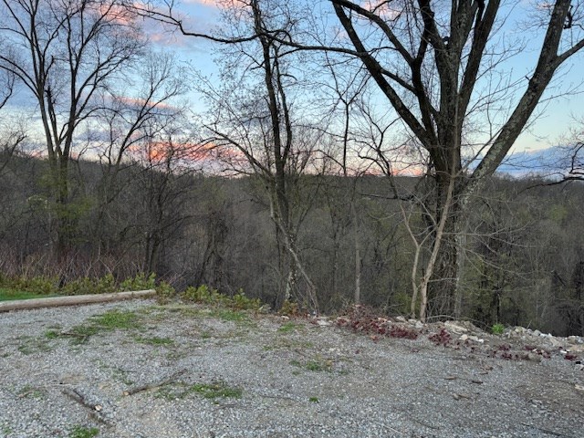Gallery Image 34