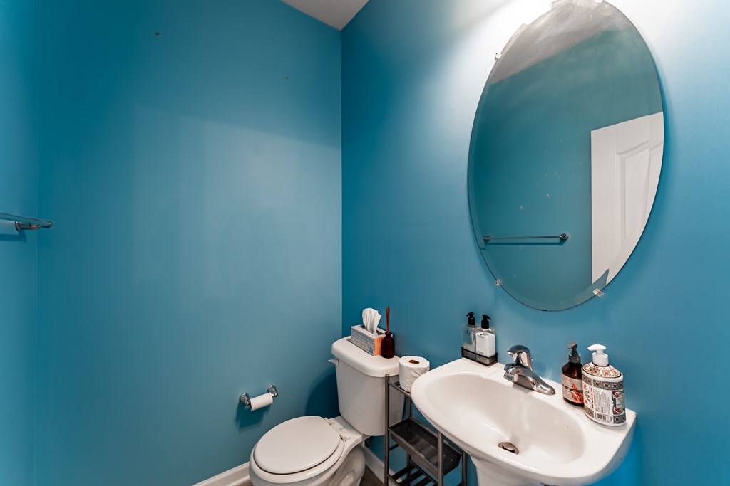 Gallery Image 10