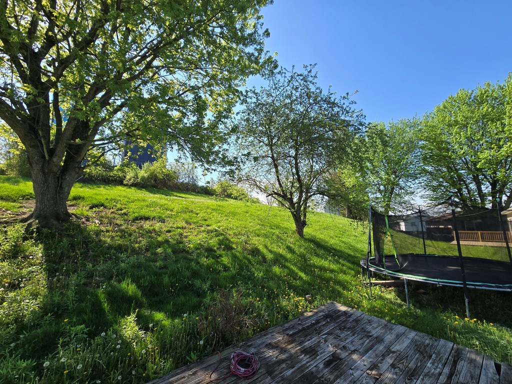 Gallery Image 11