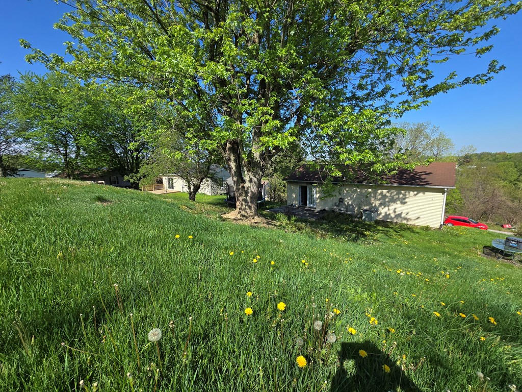 Gallery Image 15