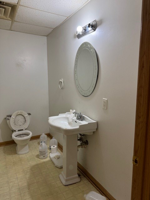 Gallery Image 9