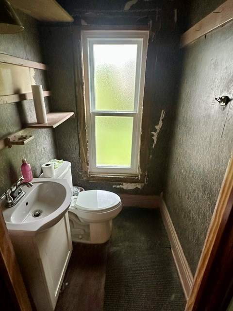 Gallery Image 13