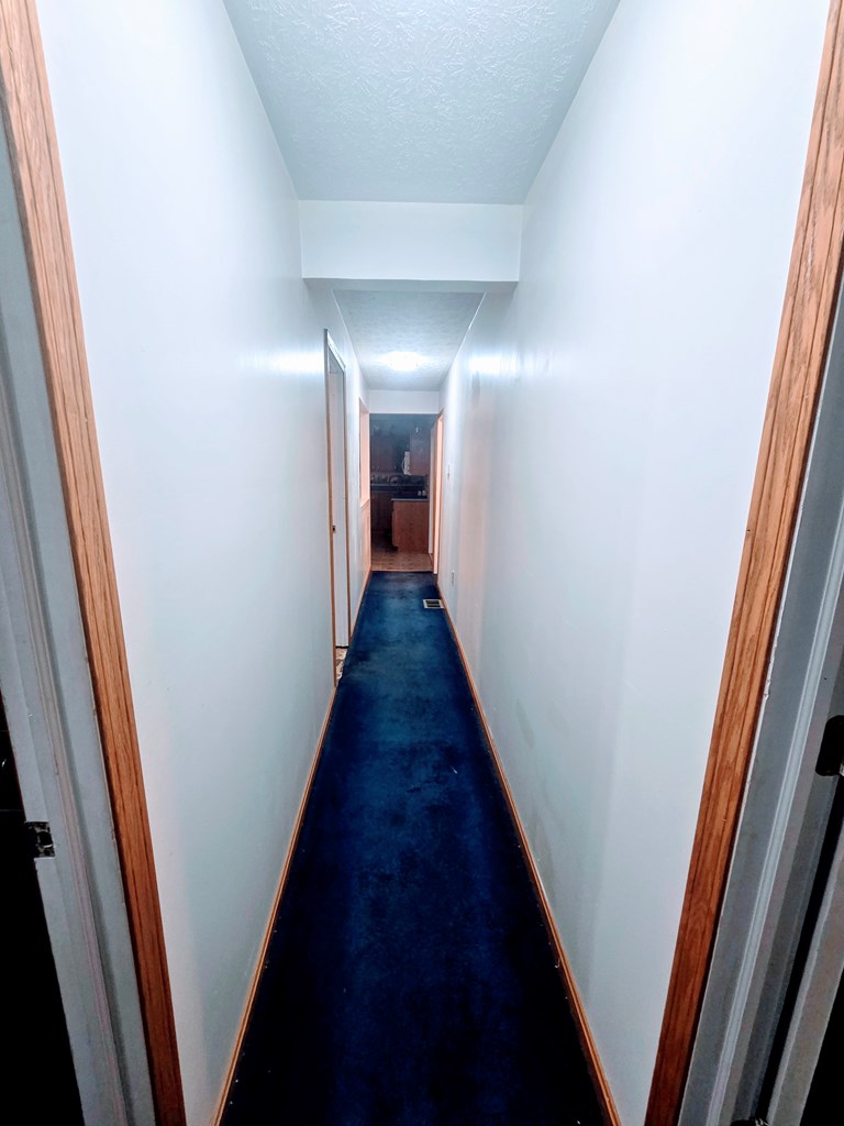 Gallery Image 19